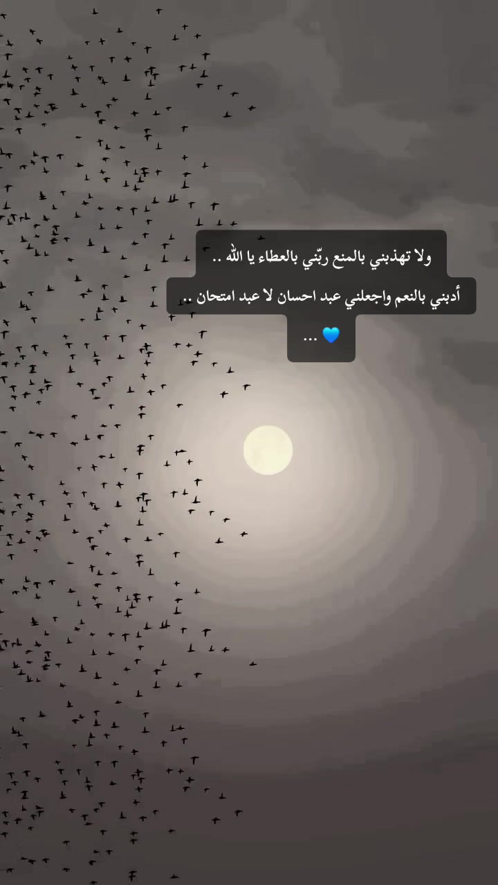 @لأَبْي ..🕊️رَوْحٌ ورَيْحان 🌿