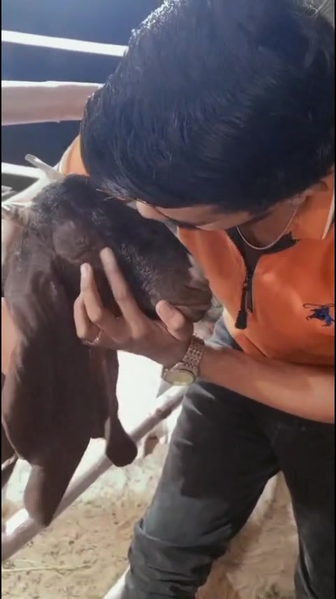 @đđđđđđ§¸