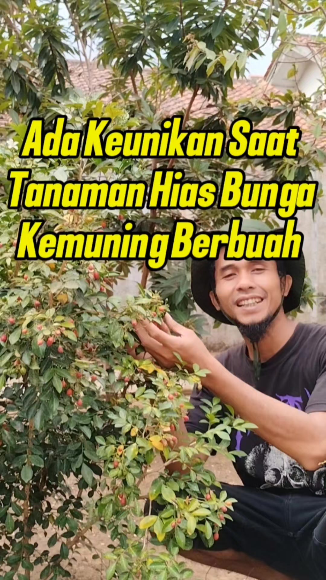 @Bukit Farming