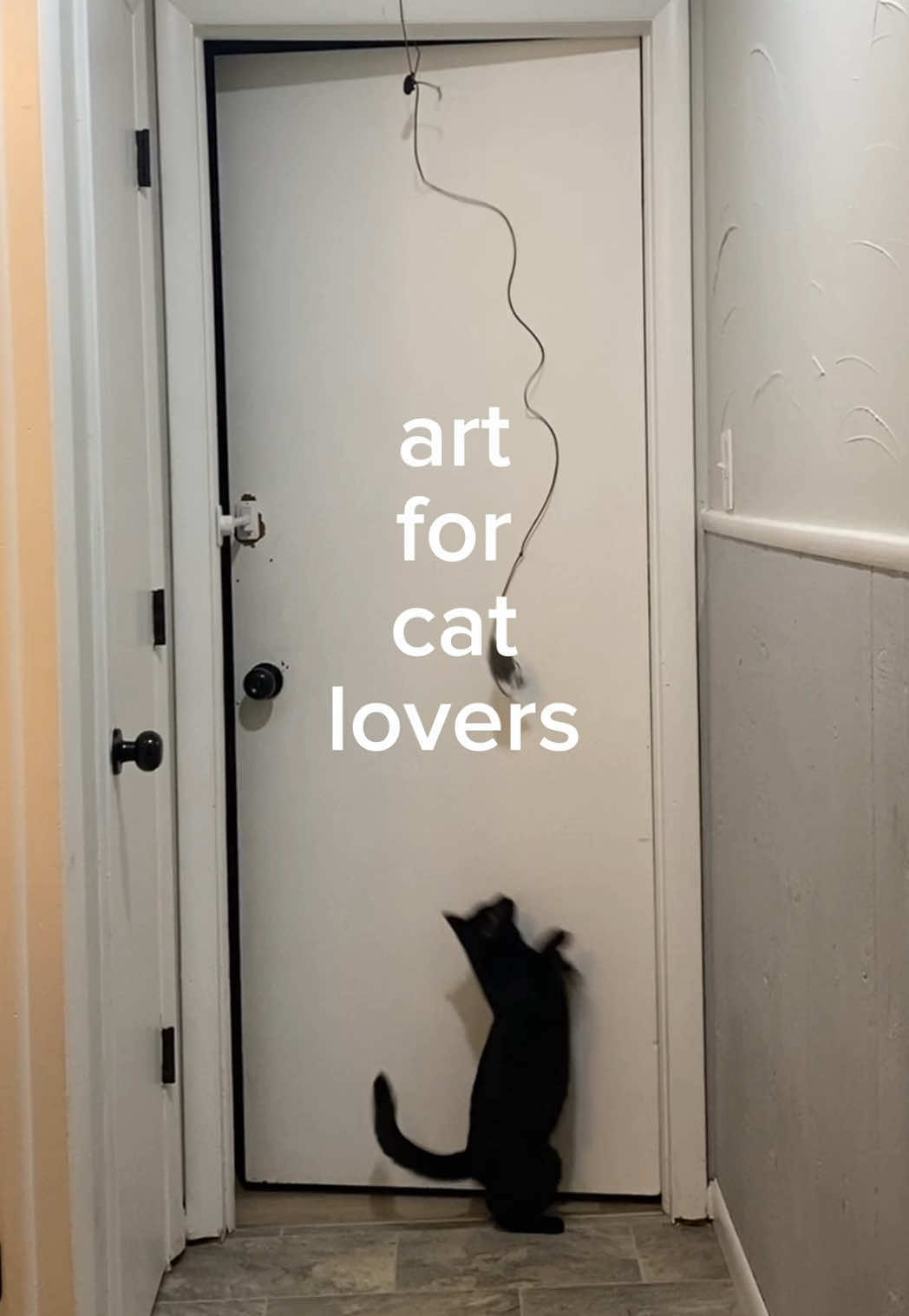 @julia ♡ the angelkittyclub