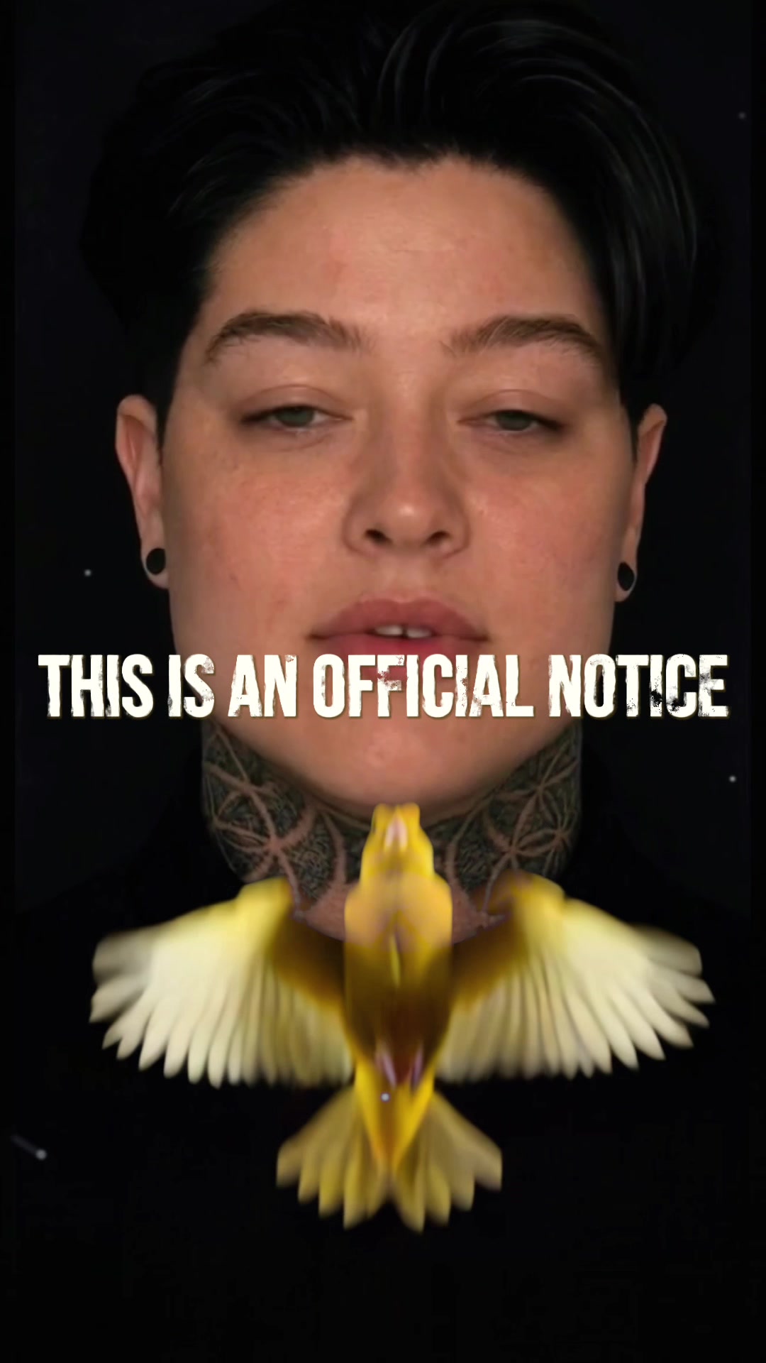 @Follow The Yellow Bird