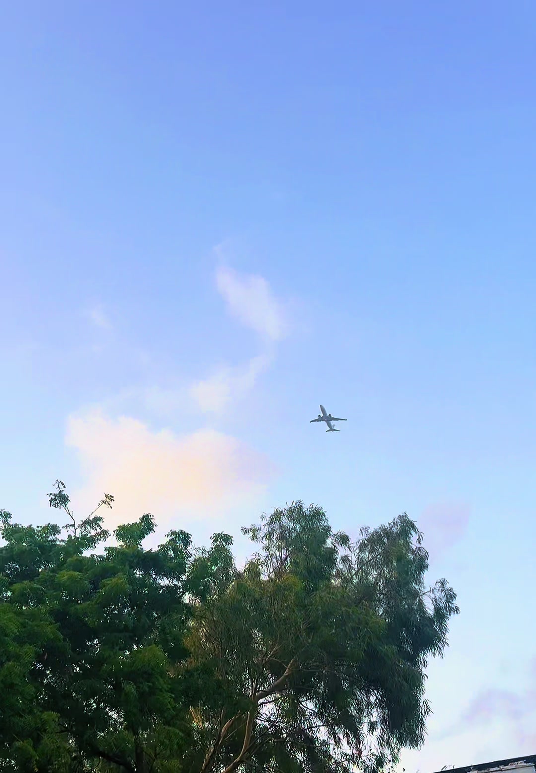 @Solo Flyer