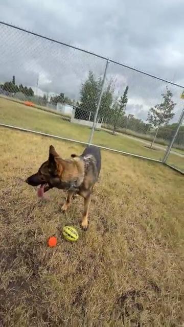 @Calgary Humane Society