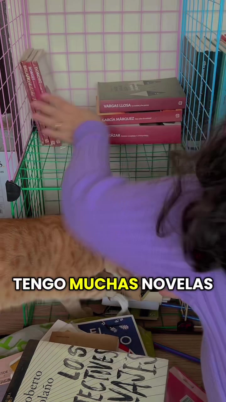 @ceciliaacats