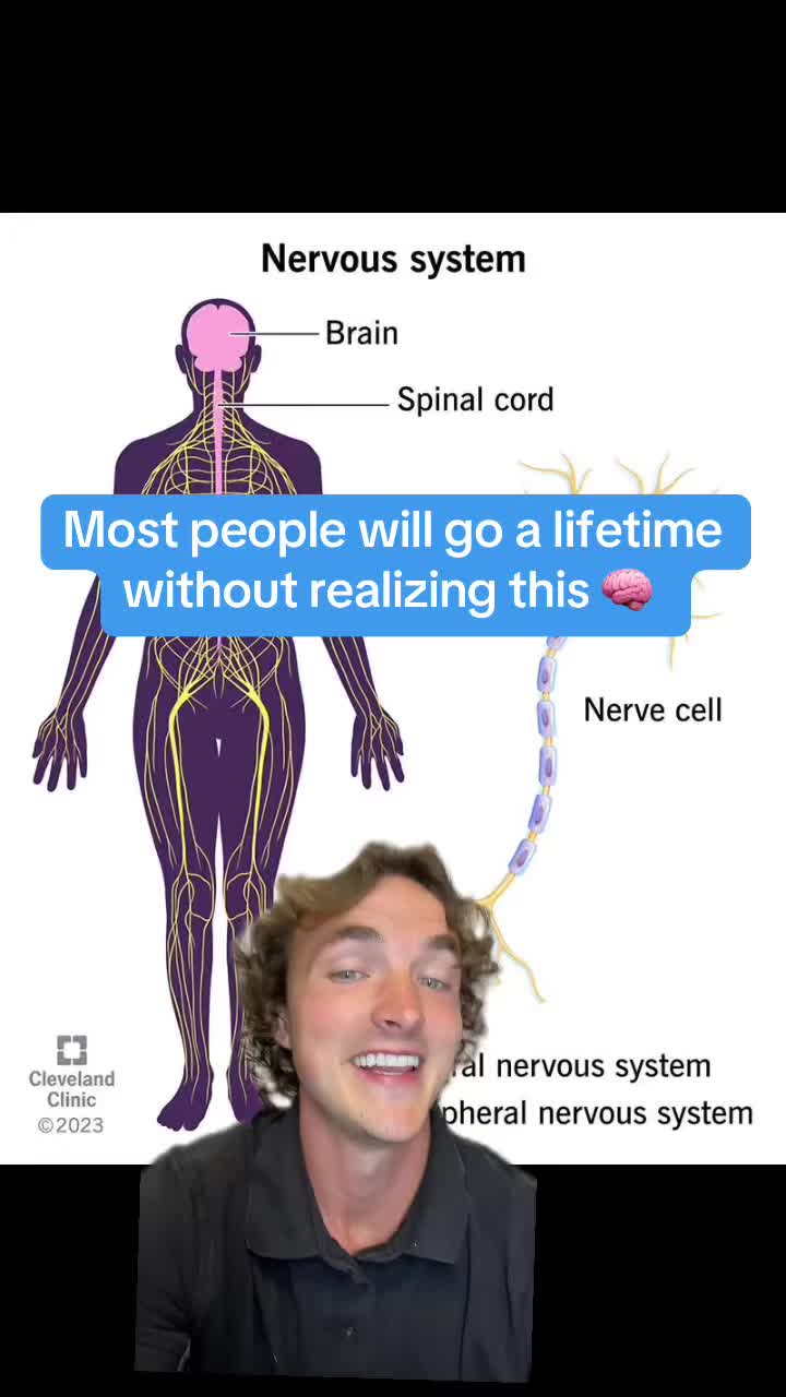 @Dr. Doug | Nervous System