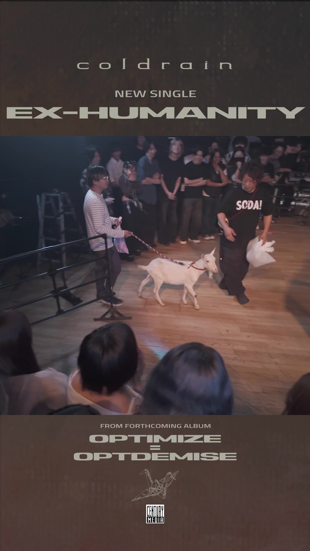 @coldrain