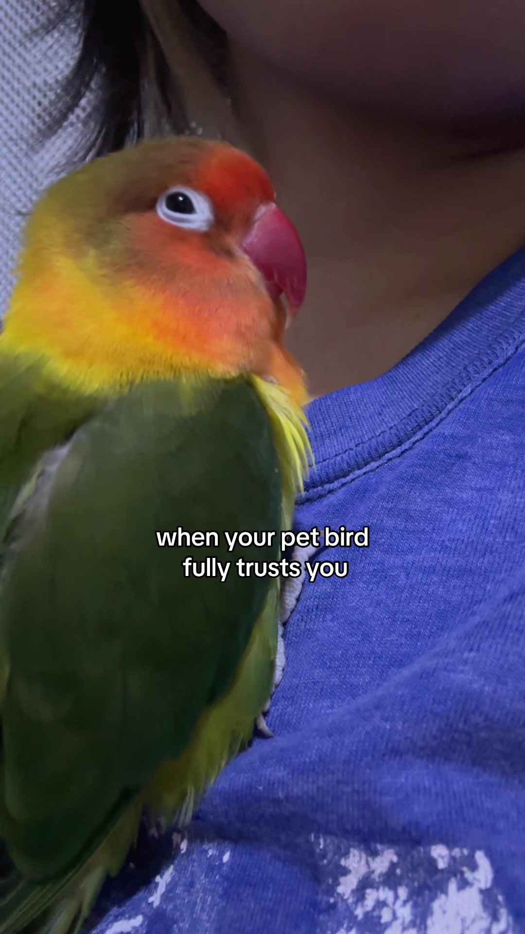 @Birdo and BB