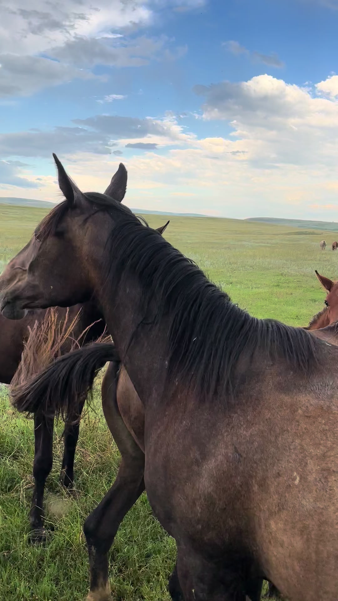@MakvinStud
