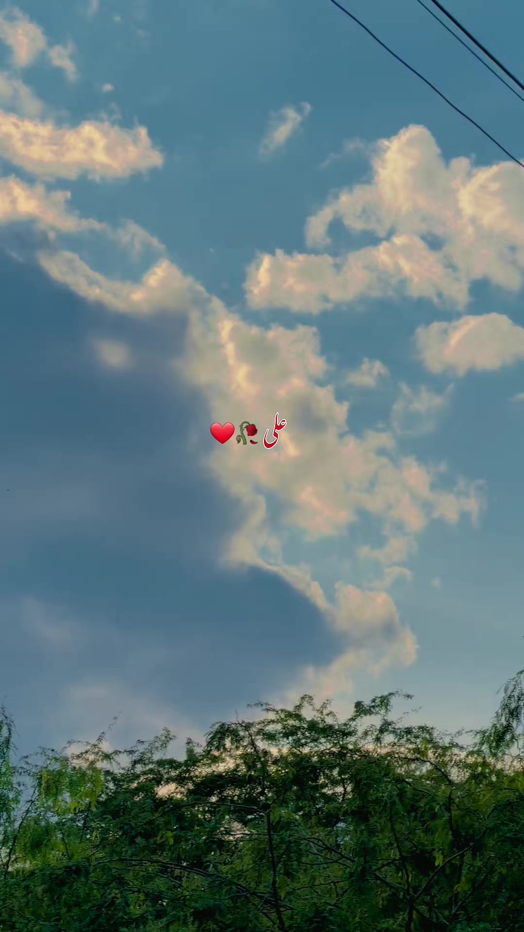 @انسی🥀