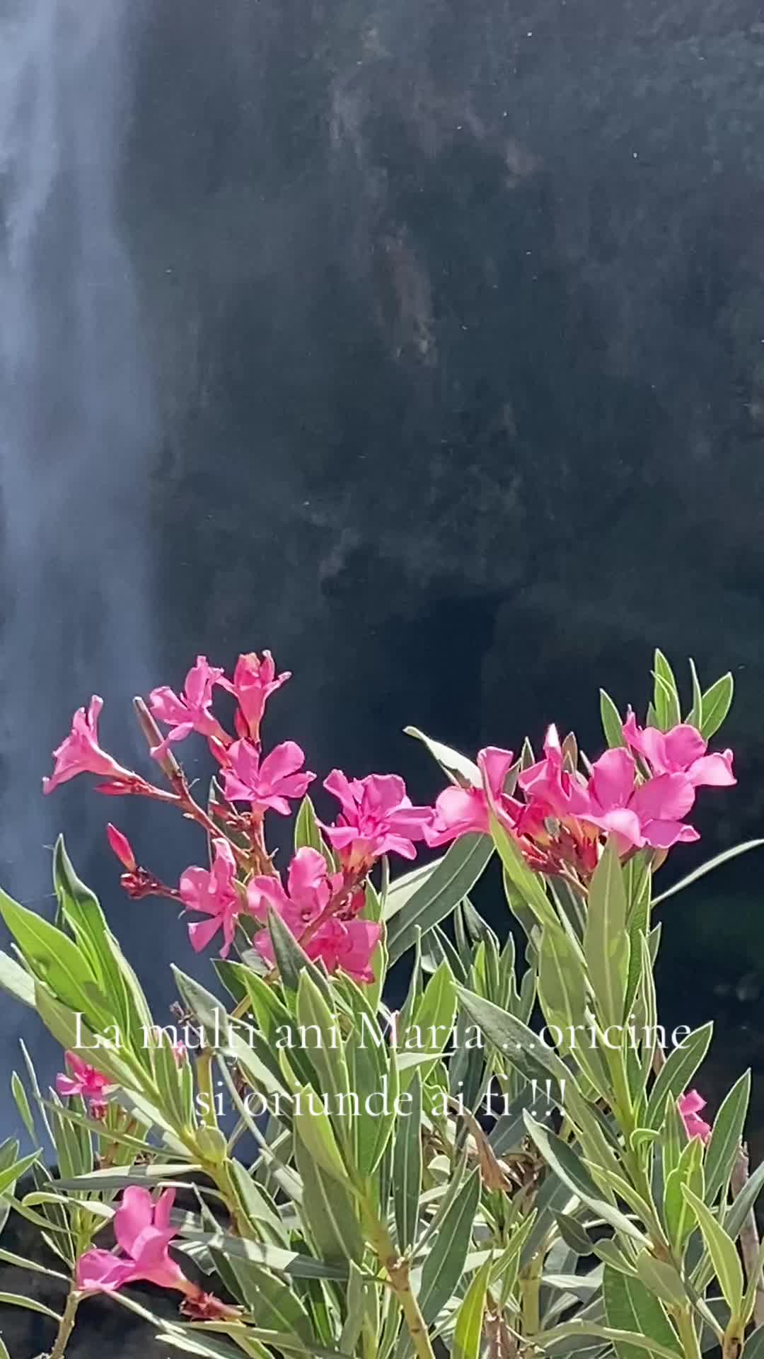 @kayamotokayusan