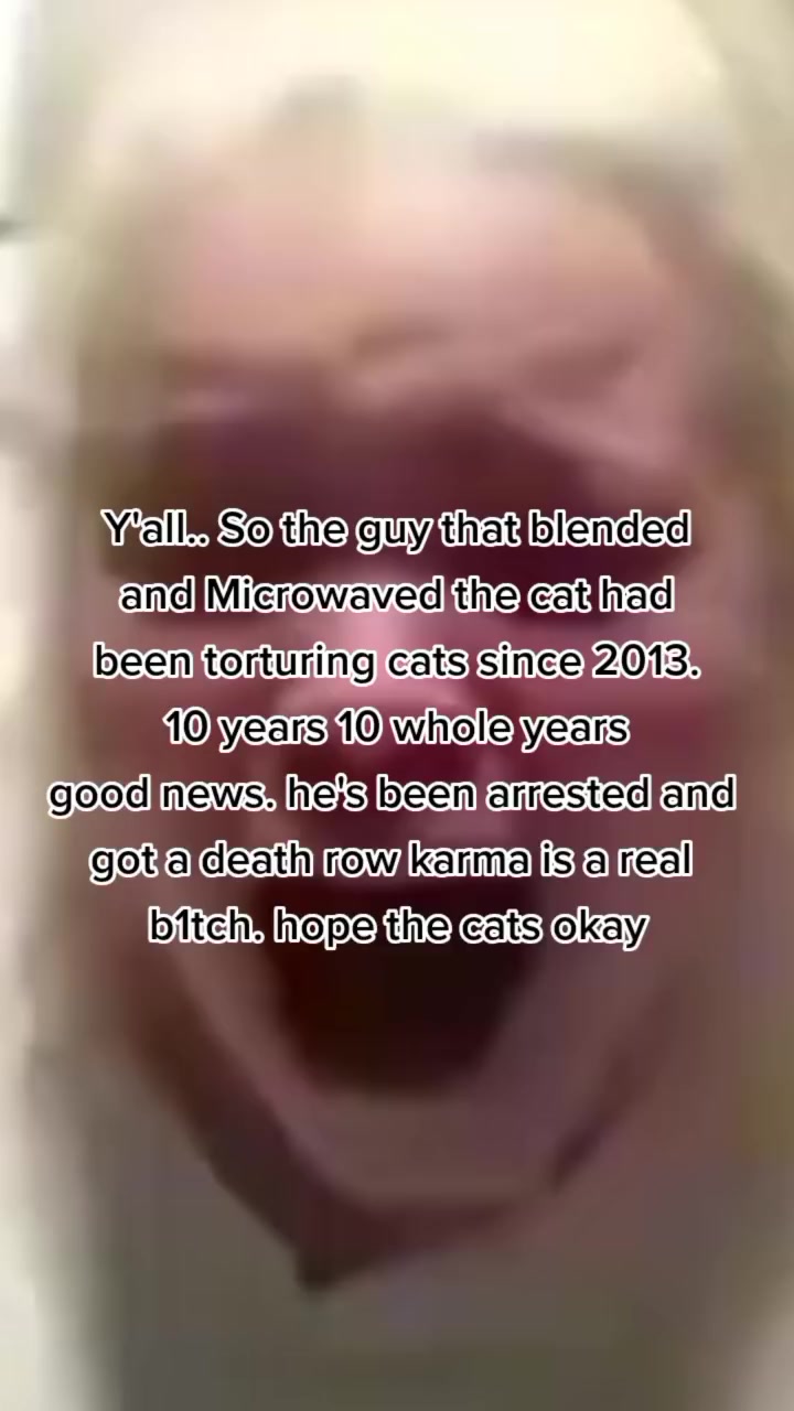 @🐳