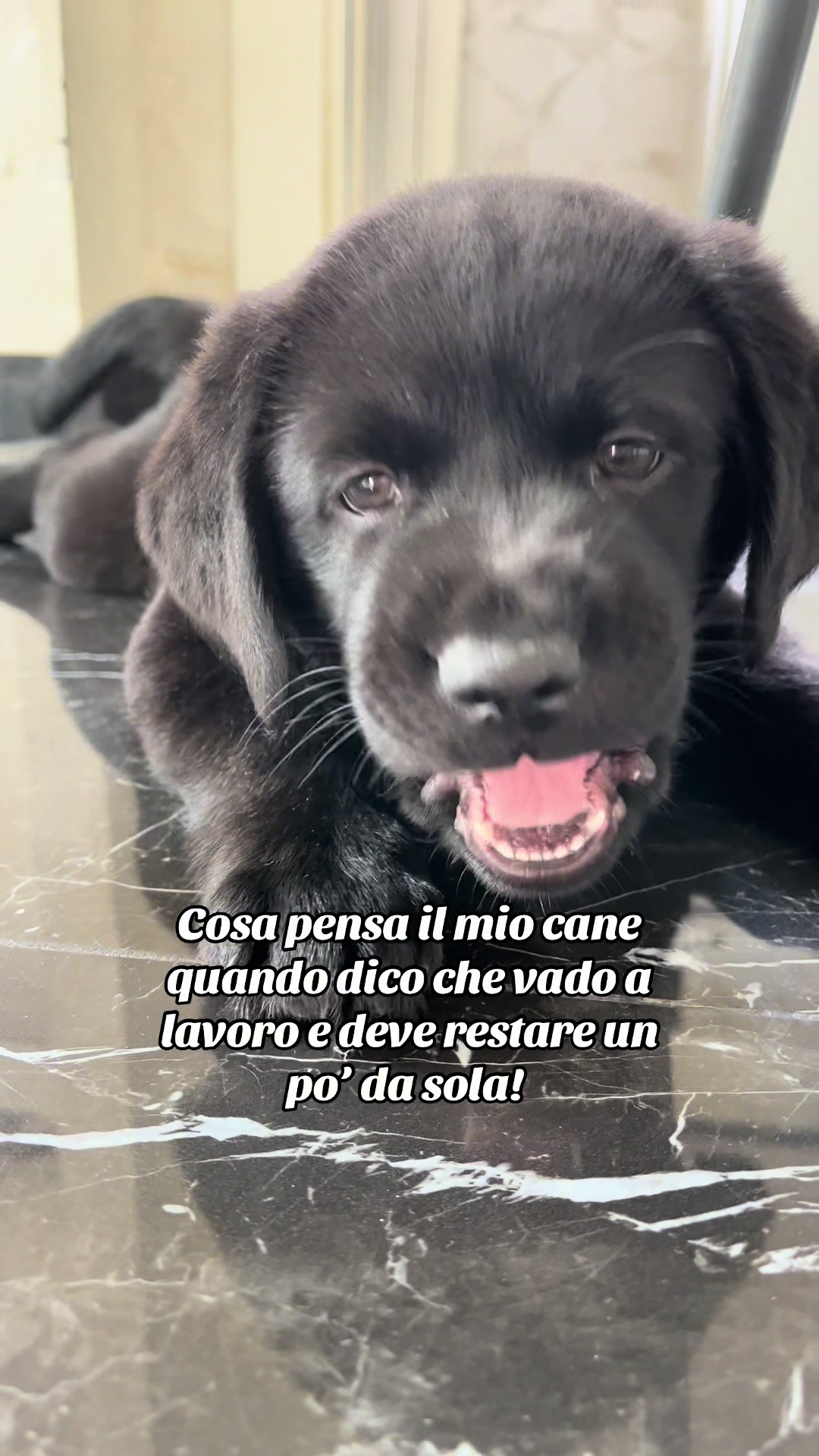 @Cloe e sabry🖤🐾