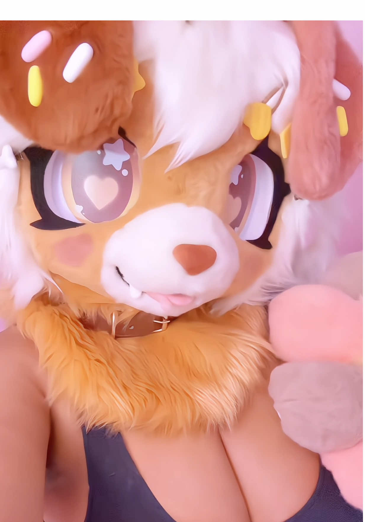 @๐ฆด๐พ๐ฎ๐ shy ๐๐ฎ๐พ๐ฆด