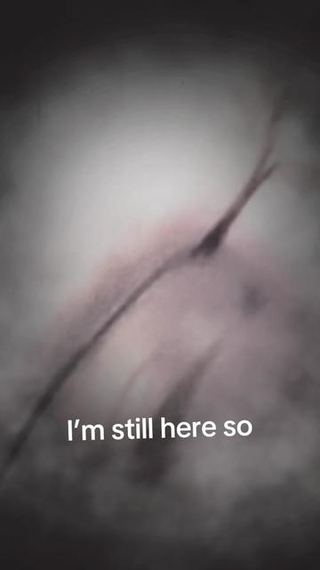 @Mark