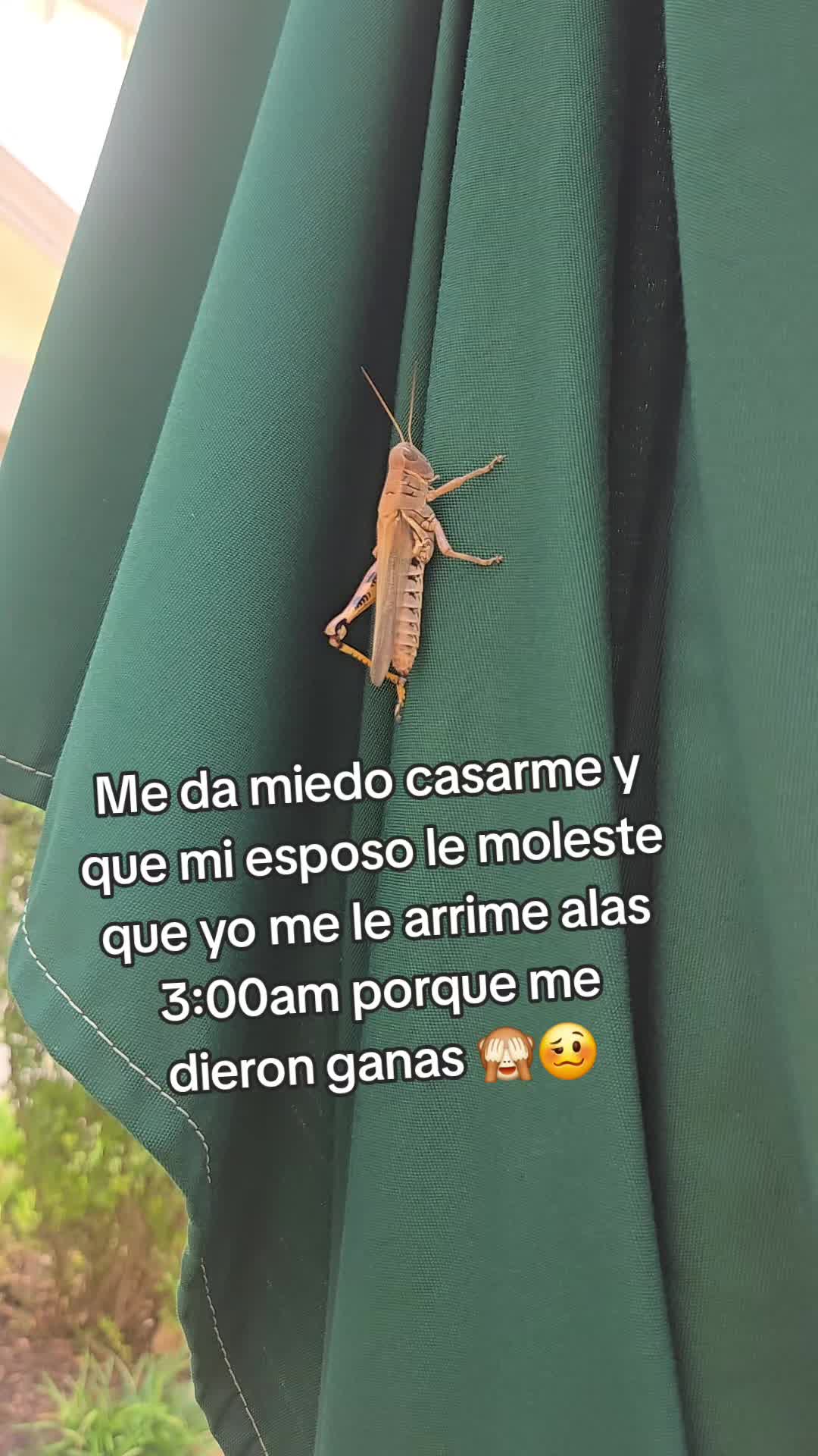 @Nathaly♊️🇲🇽