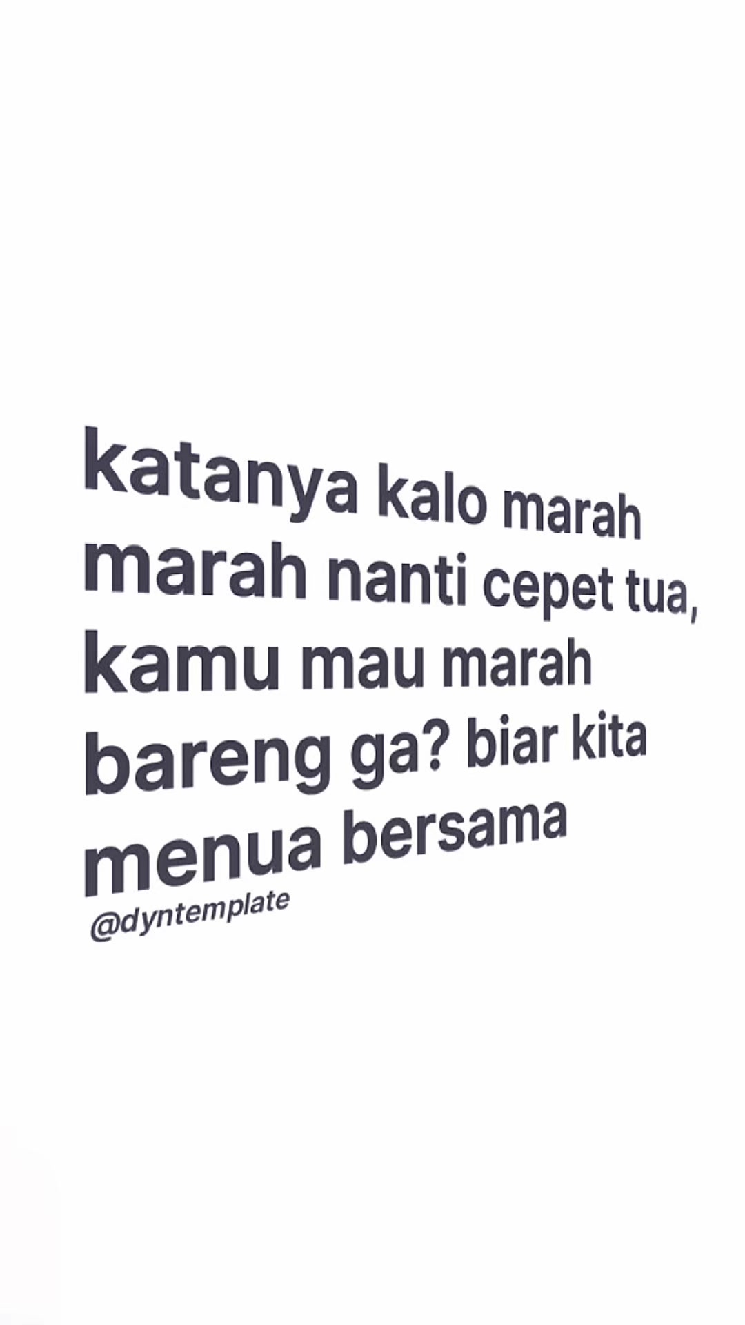 @haideee