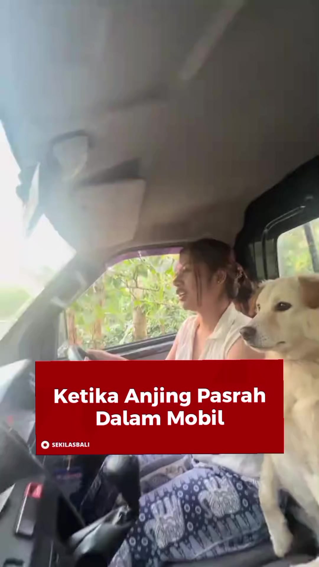@Sekilas Bali