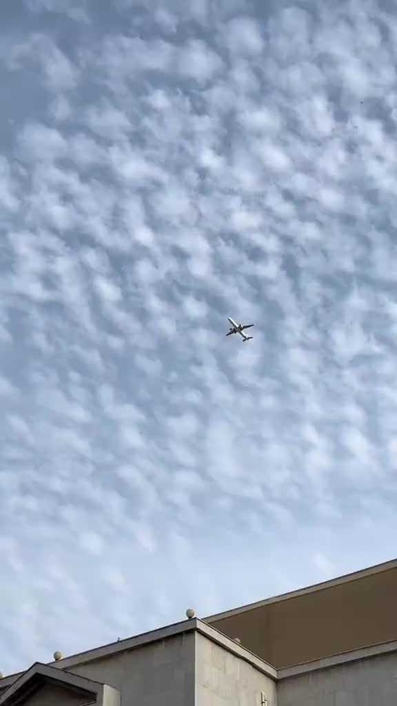 @✈️ প্রবাসীর বউ ✈️