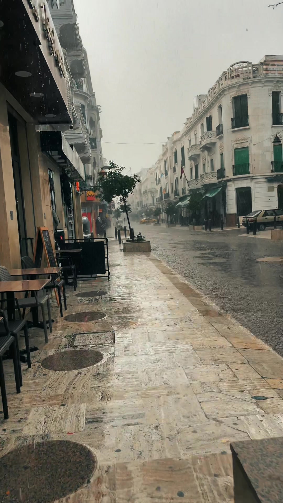 @أبو معاوية
