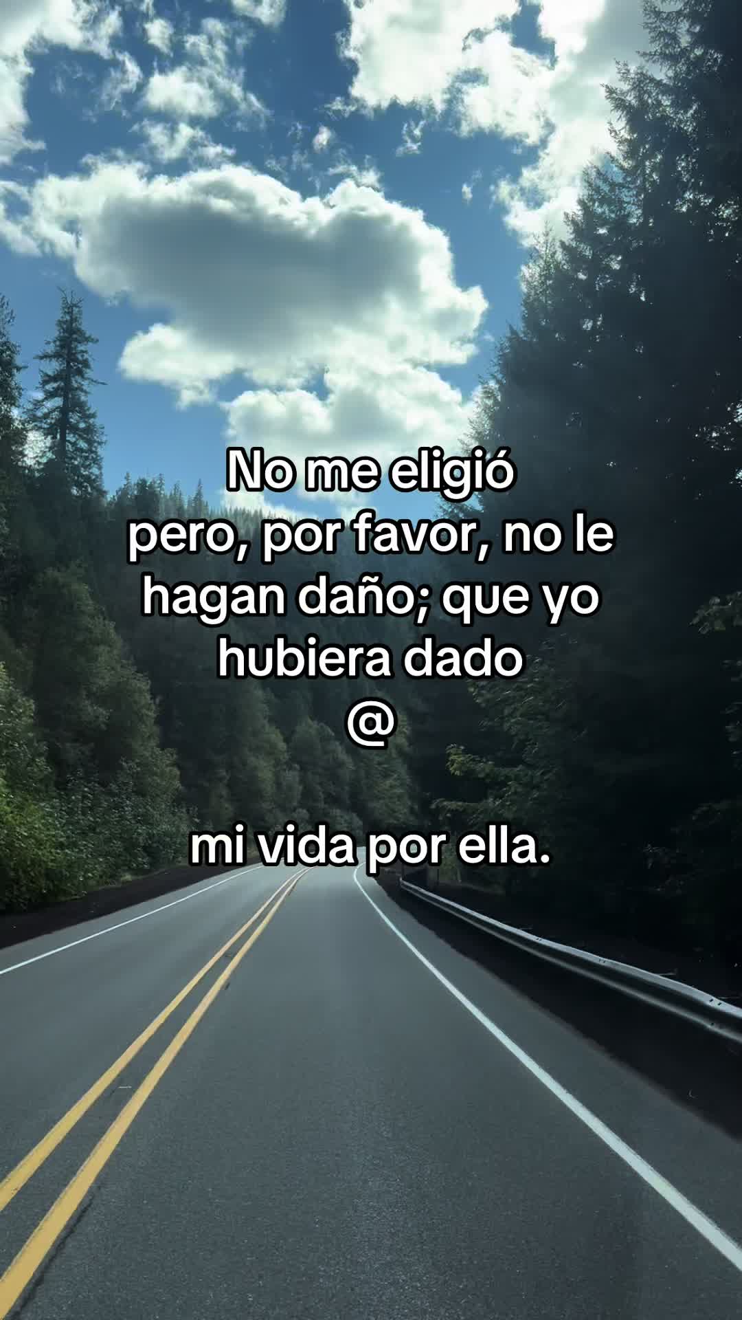 @pablocarbajal63