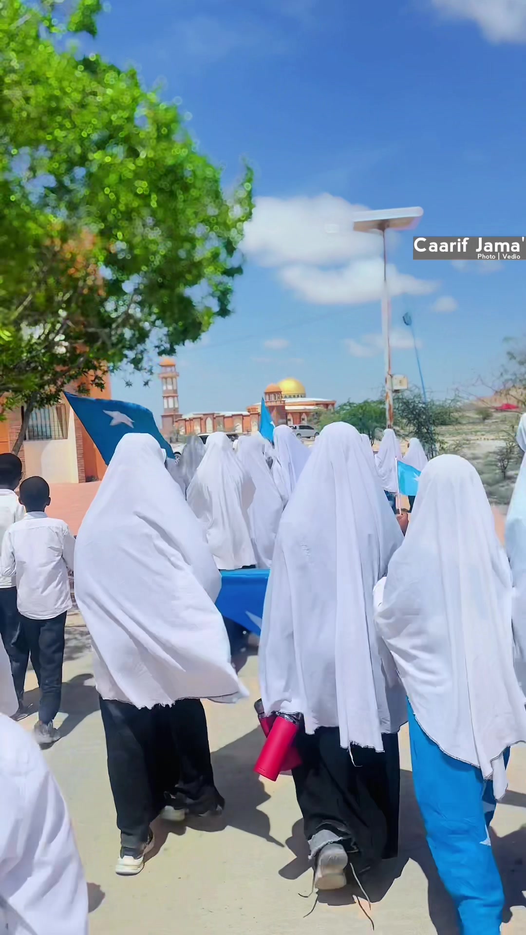 @Caarif jama