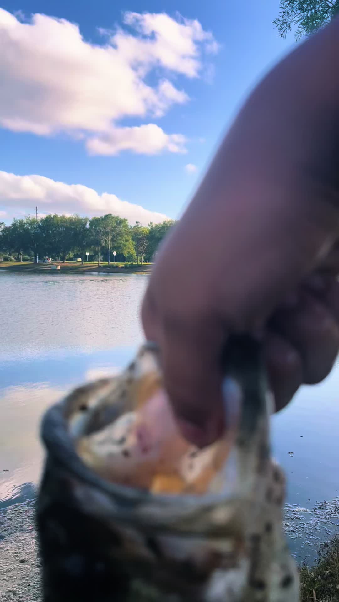 @️