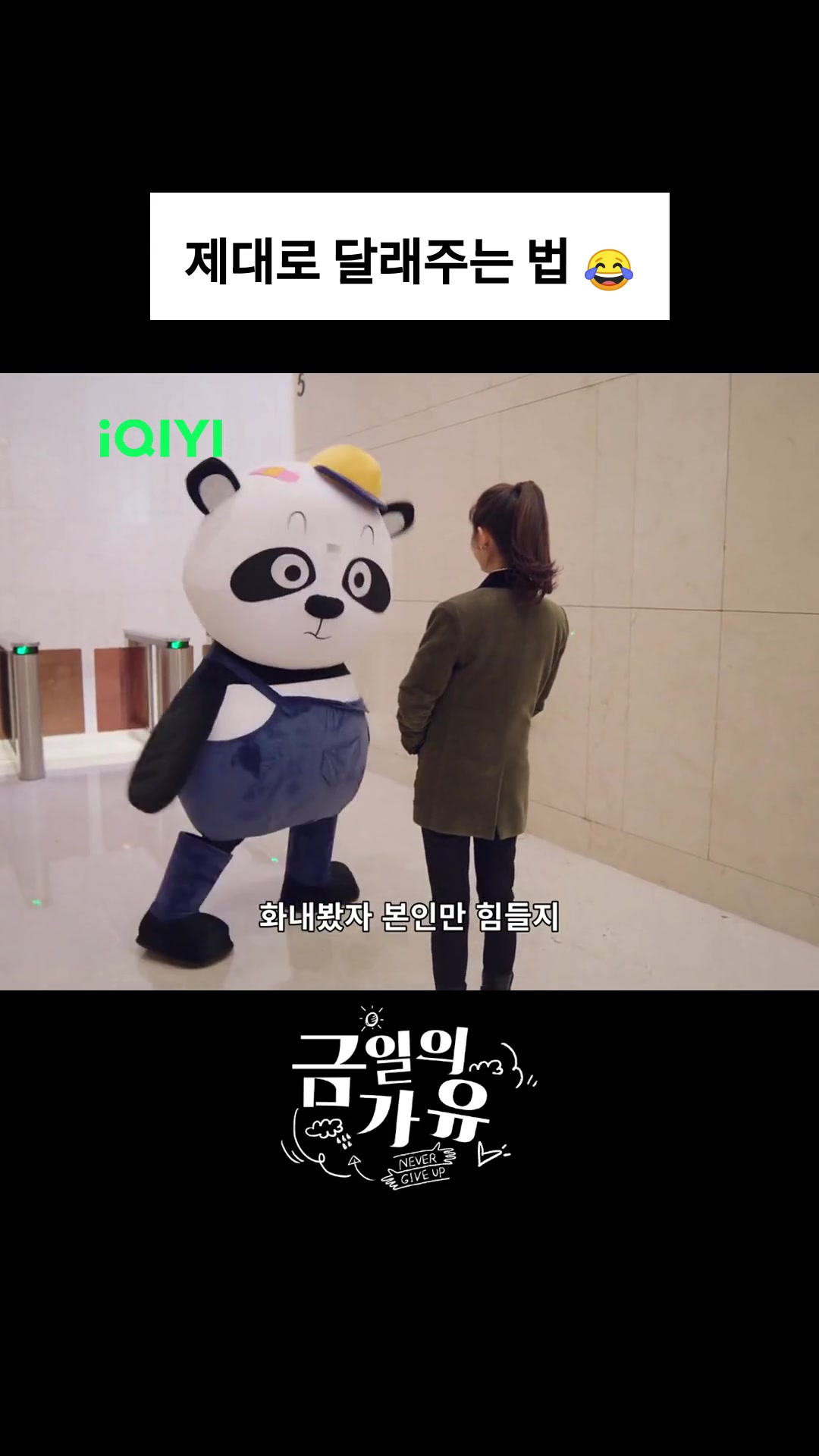 @iQIYI-Korea | 아이치이 코리아