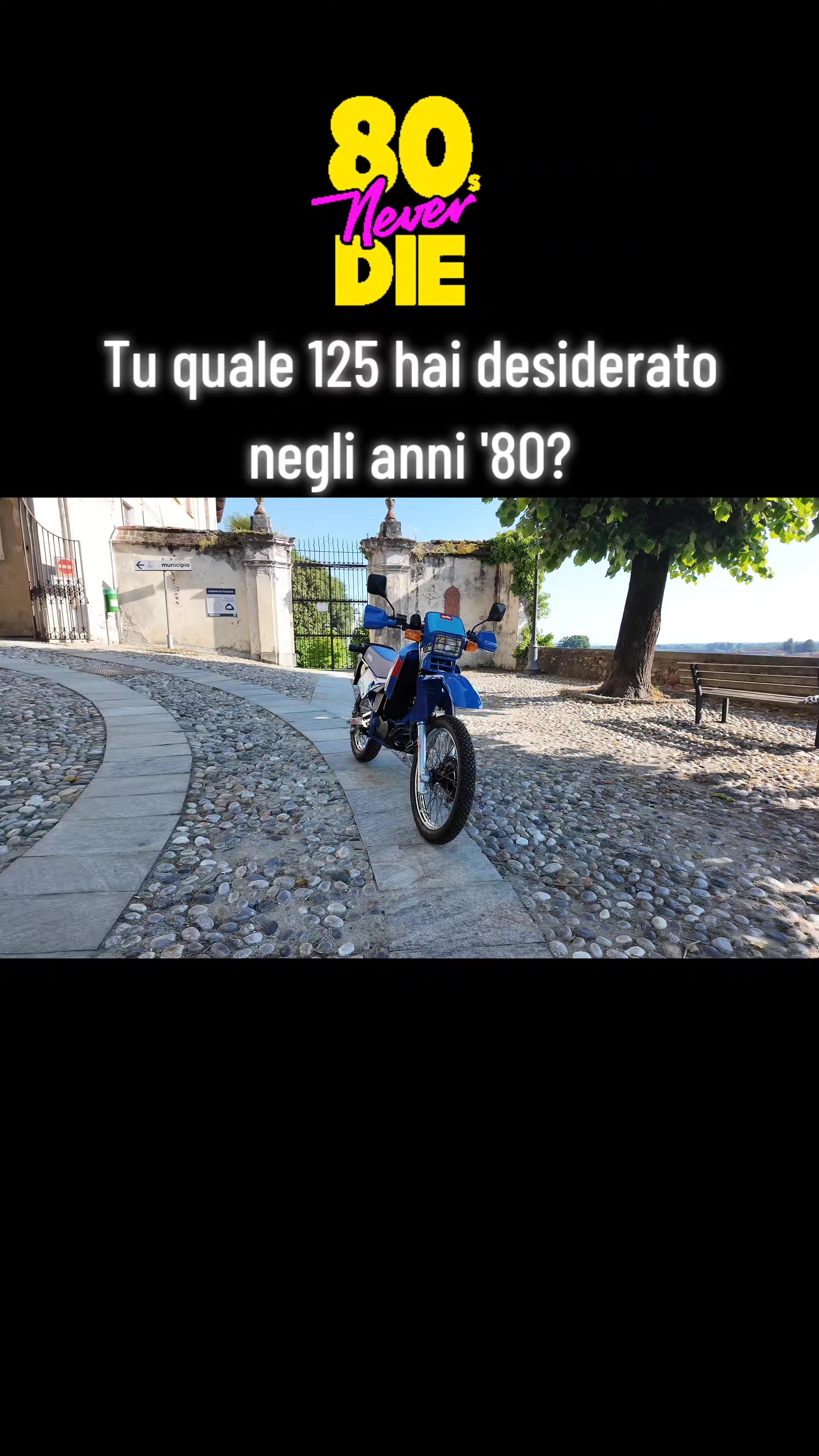 @BIRCIDE (Il Paninaro)