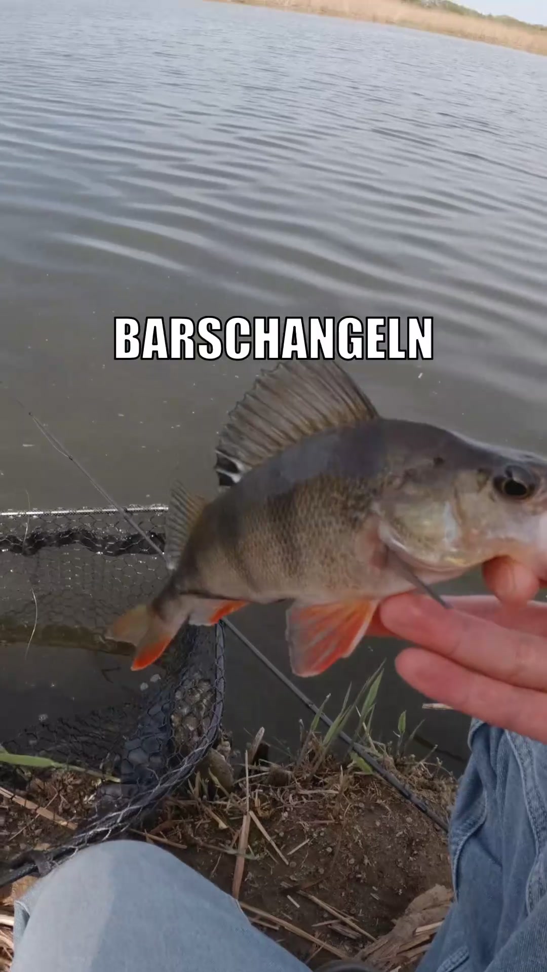 @Fischbulette