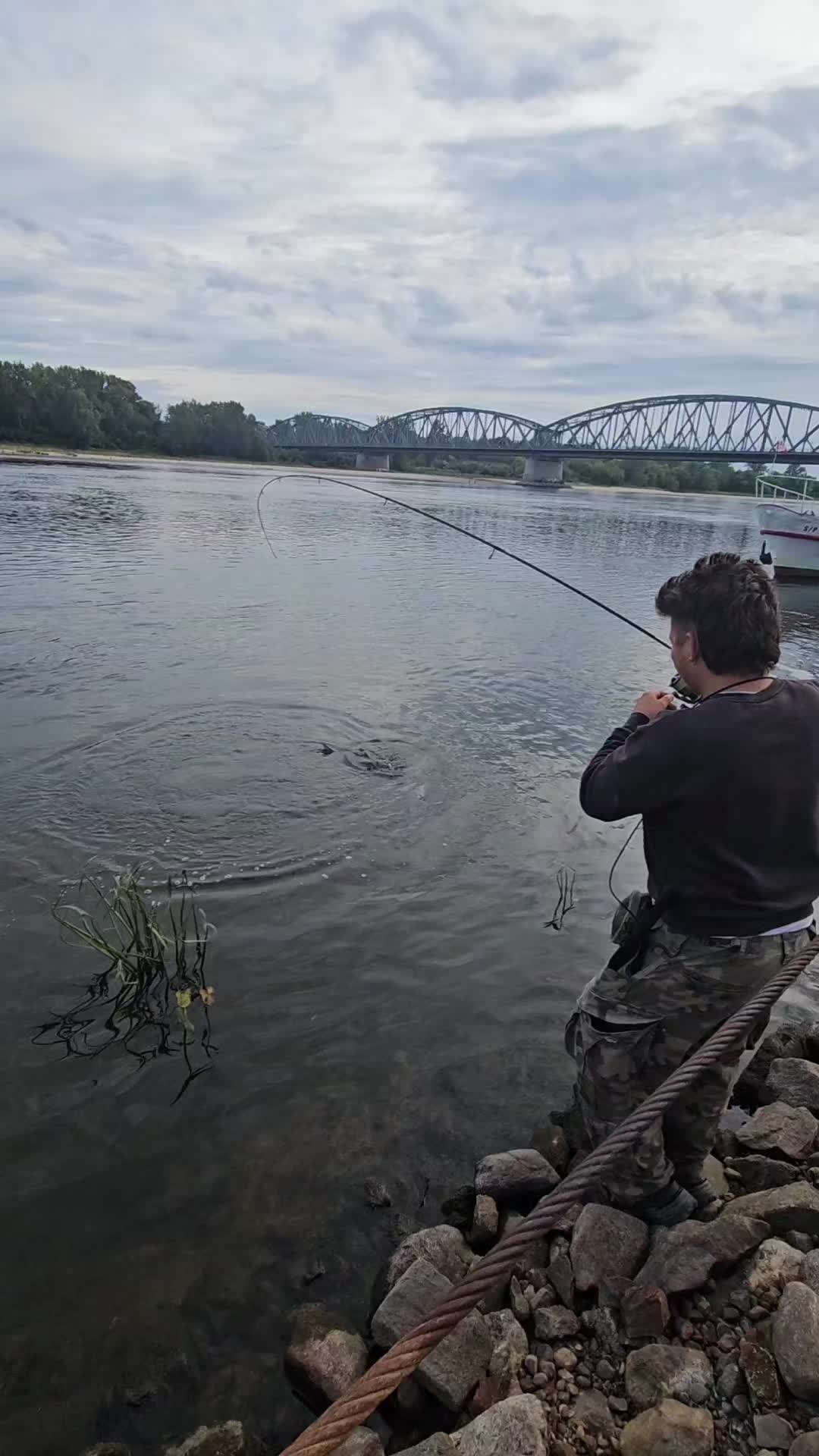 @mfly_lures