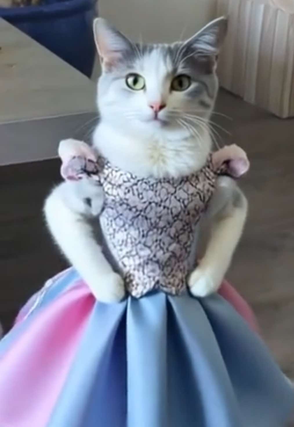 @patchesdapsychopatch
