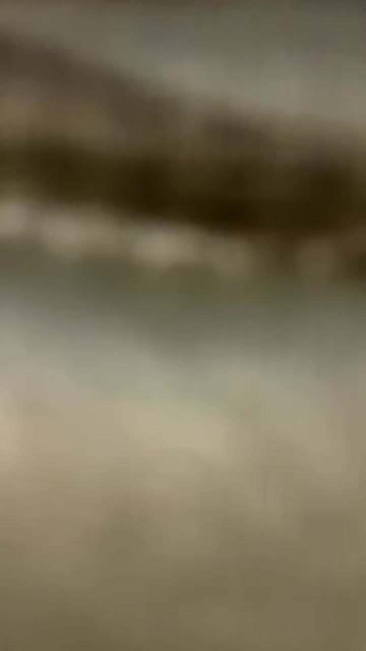 @SyncStationX_MM