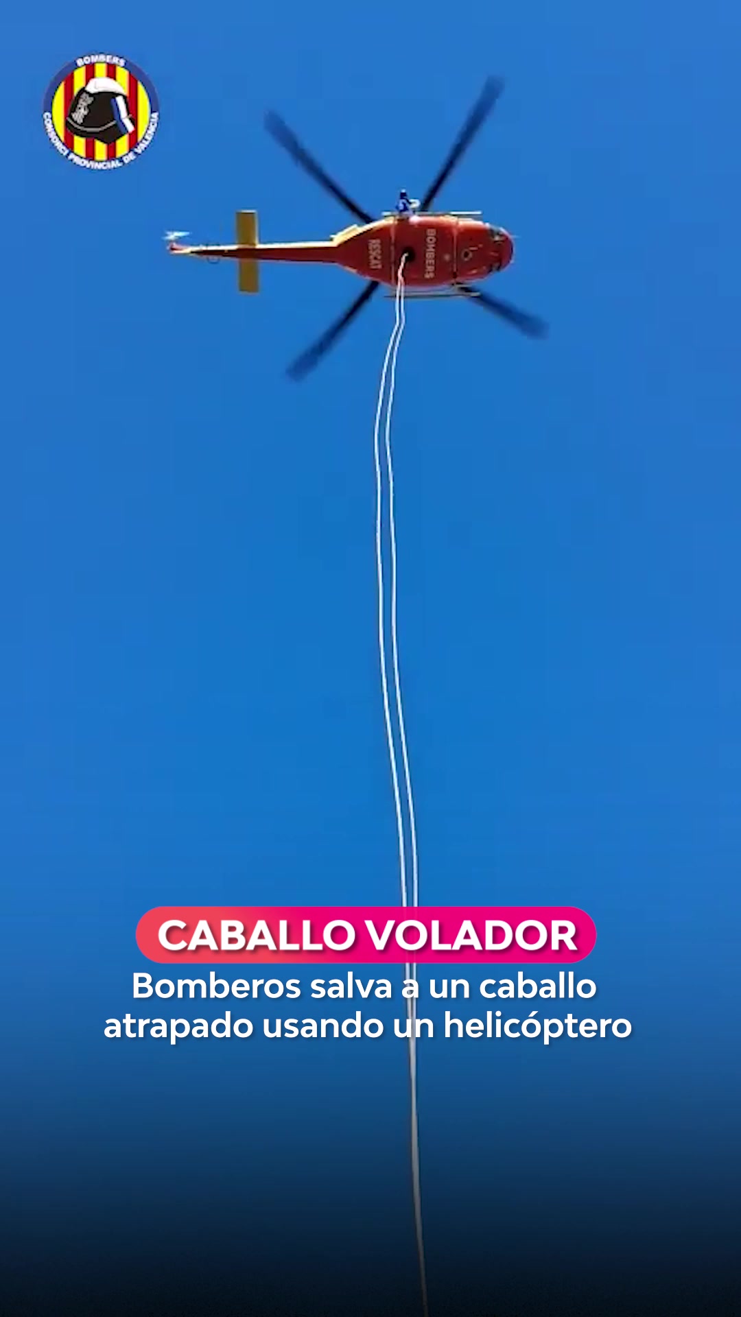 @Televisión Nacional de Chile