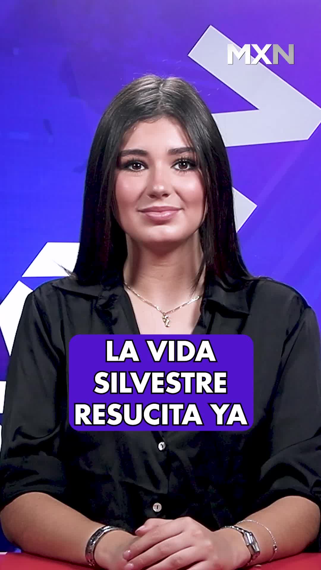 @Informativo Mxn