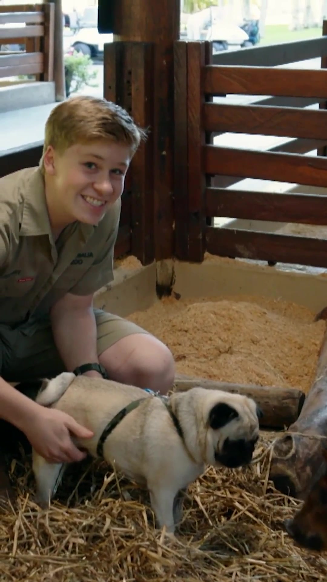 @Animal Planet