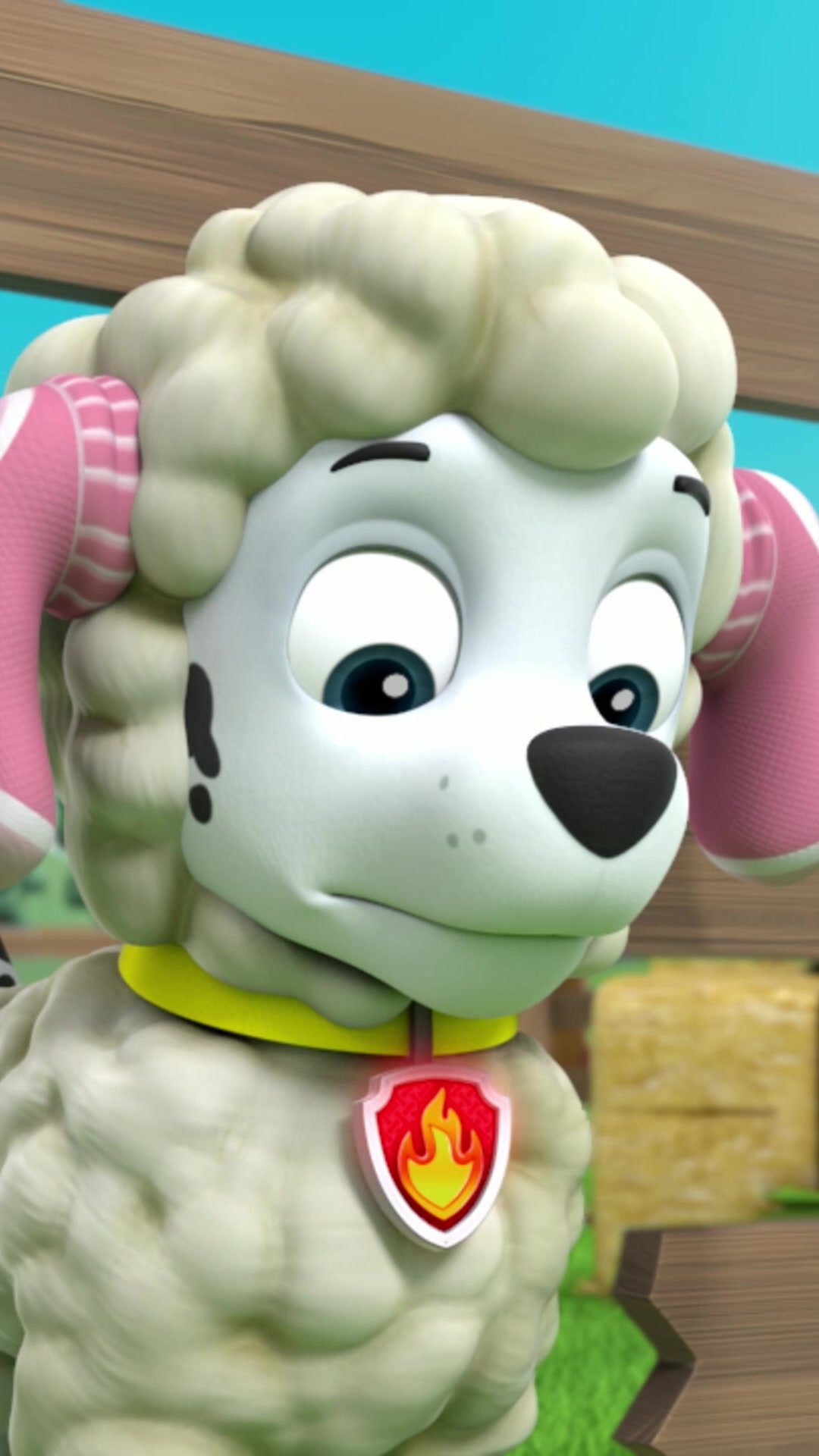 @pawpatrol