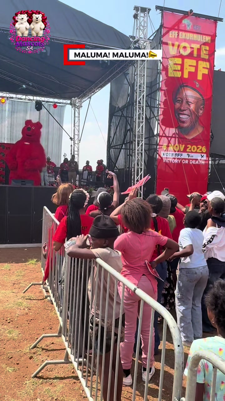 @dancingmascotssa
