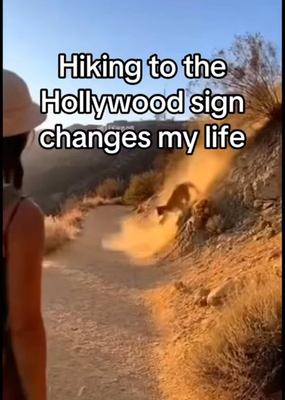@AnimalWorld