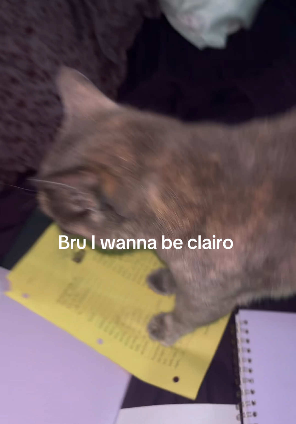 @‧₊˚ 🧺 . 𓂃⋆࣪˖ ִֶָ