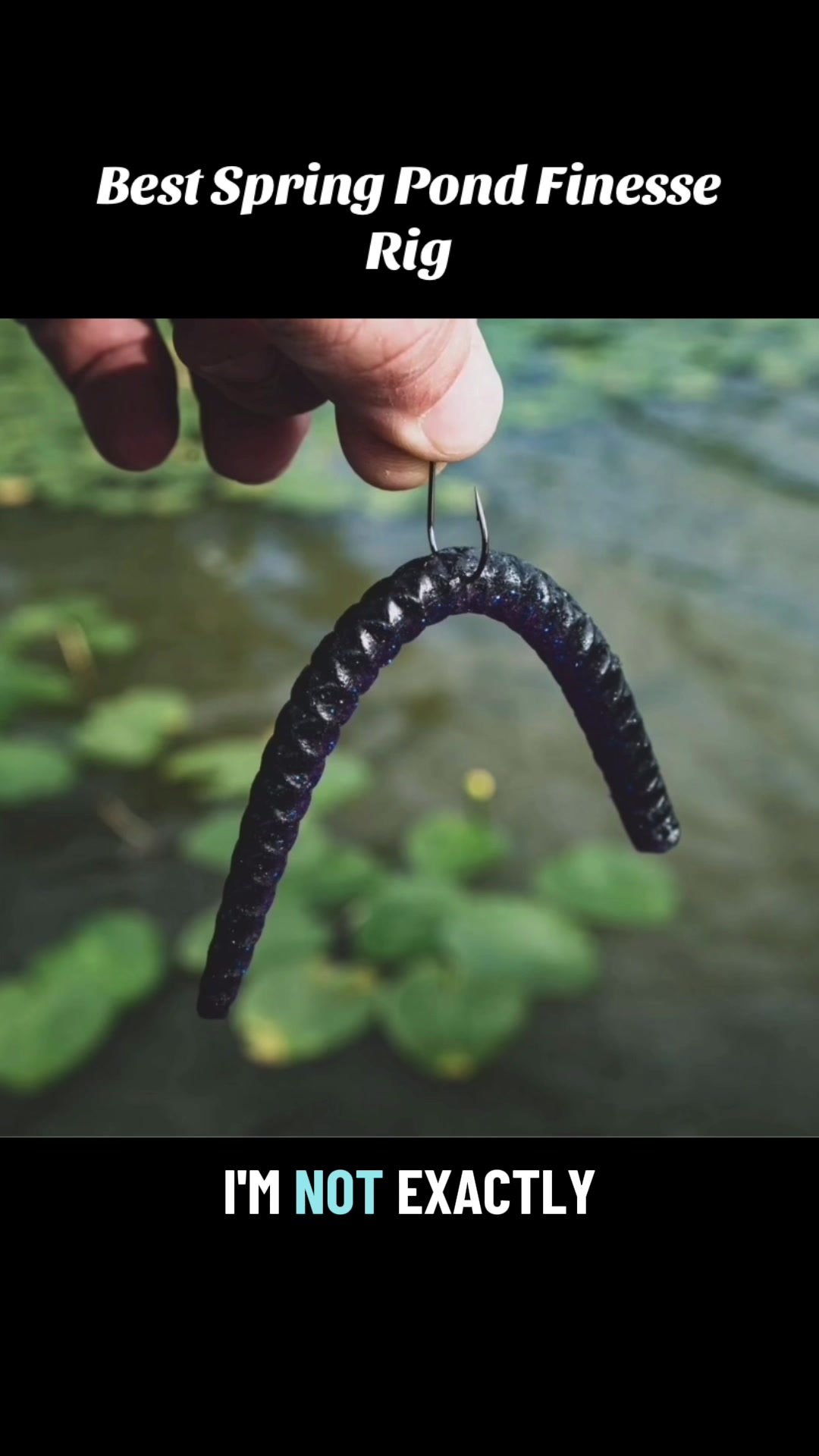 @Matt Fed Fishing