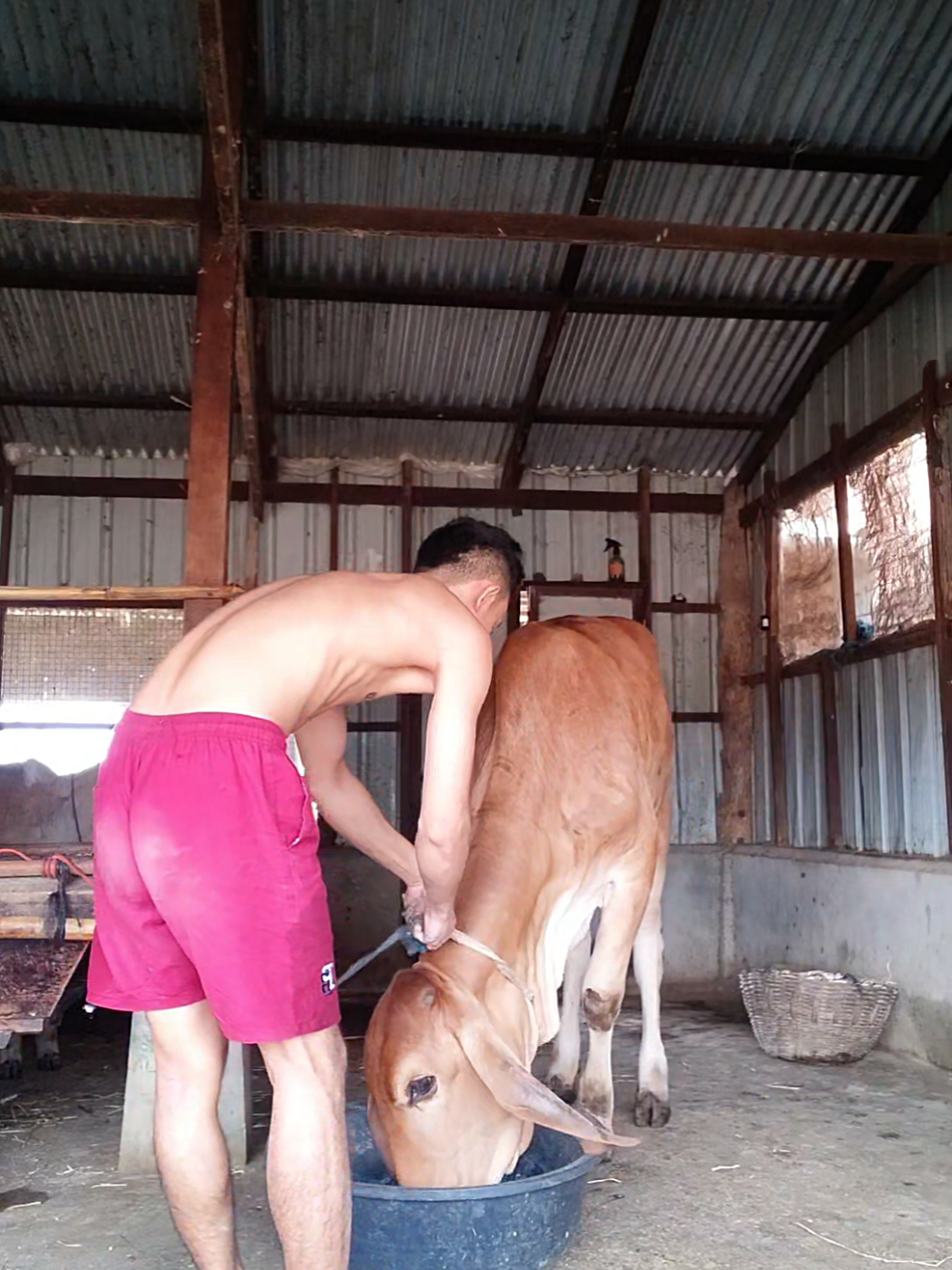@လူ့ဂွစာ  {Thu ya Oo}