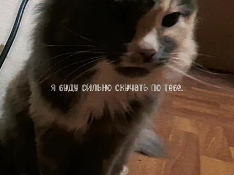 @Автор ушёл на время.