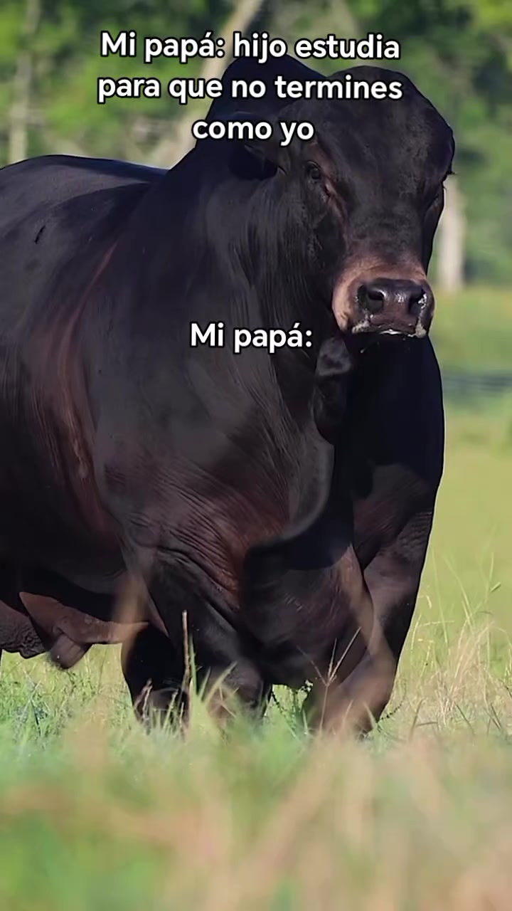 @Robin🐄🐄🤠🤠🐎🐎🇬🇹🇬🇹