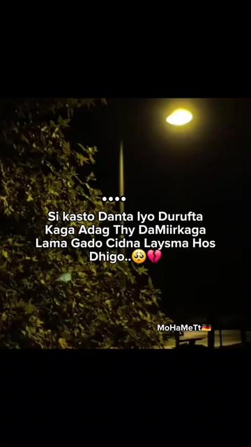 @MoHameTt🇩🇪