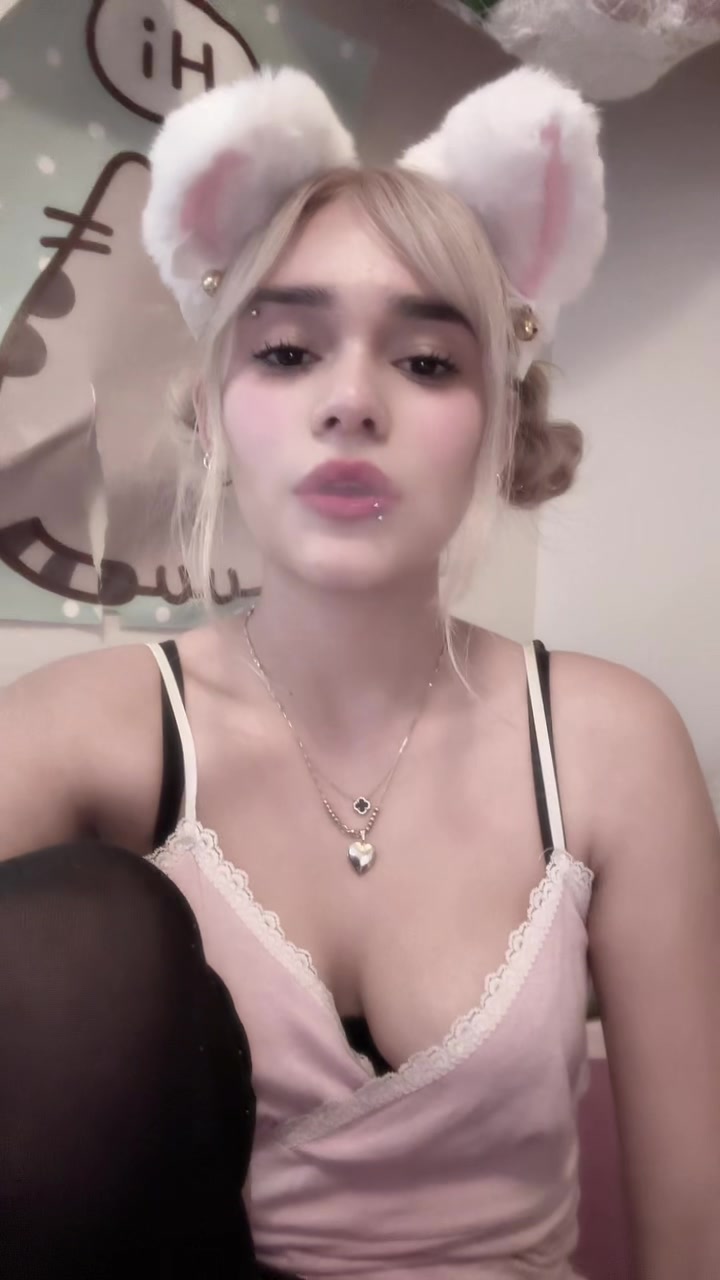 @dinopawwz