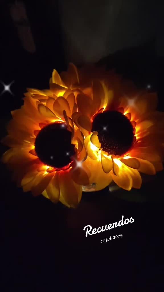 @✨♡ Mara ♡🥀