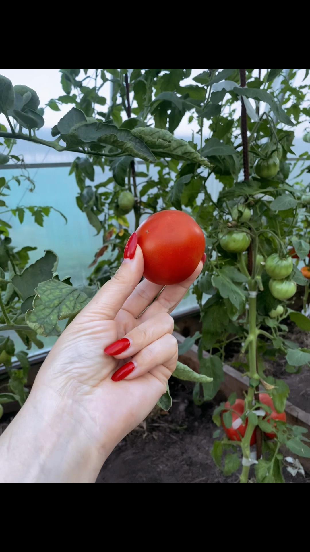 @ОЛЕСЯ КАЛИНИНА