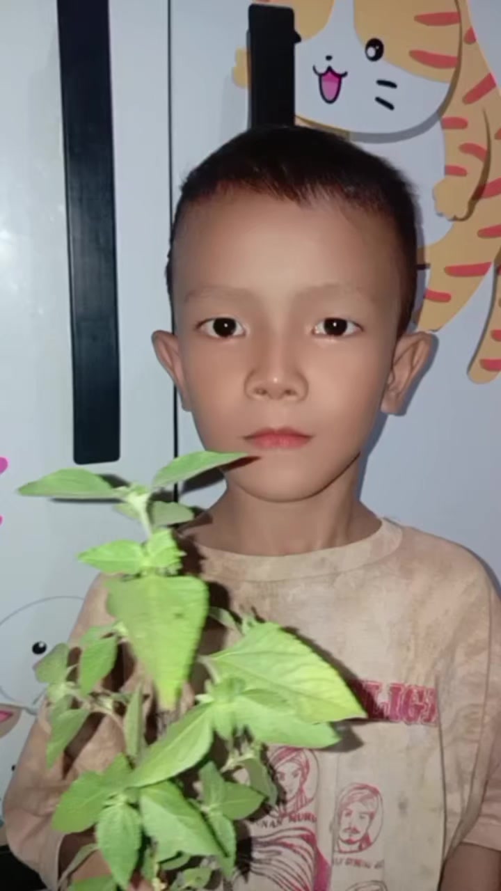 @Ryansyah Neko Istuning