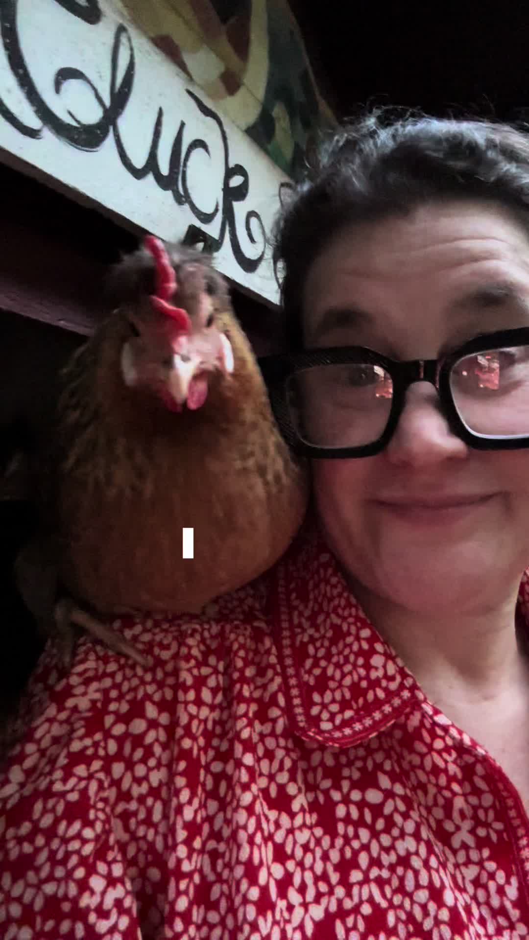 @FusterCluck Farm