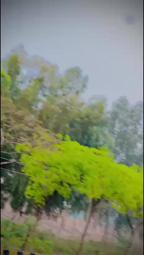 @jalalbaloch354